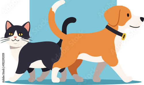 Friendly cat and dog walking together in harmony.