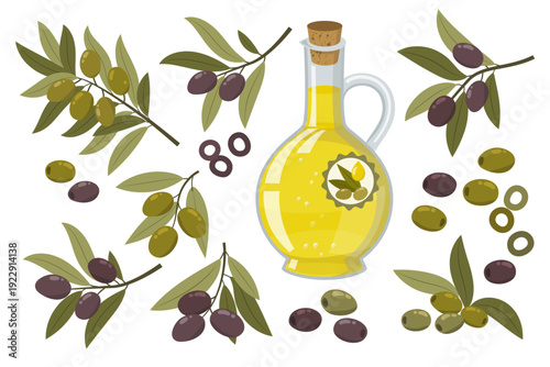 Glass olive oil bottles with olive plant branch and fresh olives, organic extra virgin oil product, Mediterranean food preparation, healthy eating concept, isolated on transparent background