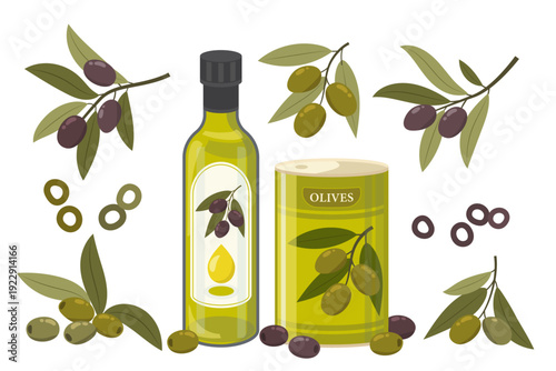 Olive oil bottle assortment with olive tree twig and ripe olives, natural extra virgin oil, Mediterranean cooking ingredient, nutrition concept, isolated on transparent background