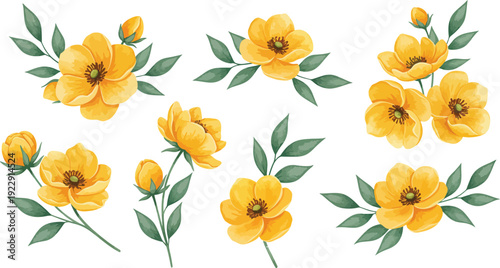 Vibrant yellow flowers with green leaves on white background in floral arrangement
