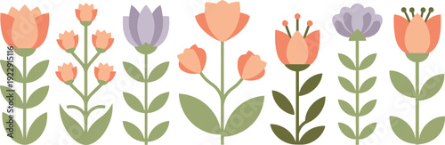 Digital illustration of colorful tulips in various stages of bloom on white background
