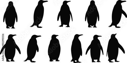 Penguin Silhouette Collection in Different Standing and Walking Poses Isolated on White Background, Antarctic Bird Vector Set for Design and Illustration
