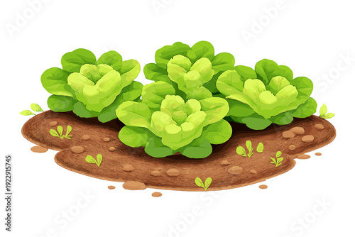 Four bright green leafy vegetables grow in a patch of brown earth. This stylized digital illustration shows the plants with layered leaves and small sprouts on a black background.