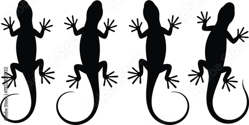 Black gecko lizard silhouettes set isolated on white background, climbing reptile poses with spread toes, minimalist vector illustration for wildlife design