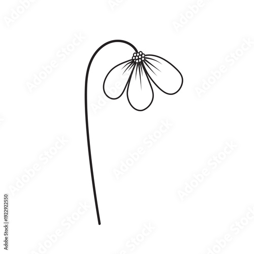 Whimsical black outline drawing of a drooping daisy flower with a long, curved stem on a white background, poetic botanical illustration