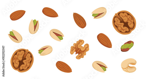 Almonds, pistachios, walnuts, Brazil nuts, and cashews are scattered across a white background, displaying their natural forms.