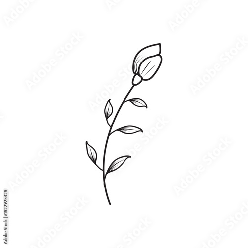 Delicate line art illustration of a single blooming flower with leaves, conveying growth, nature, and beauty.