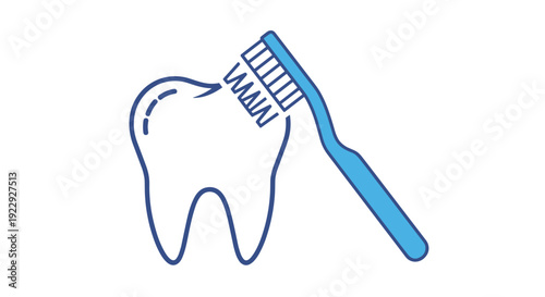 Toothbrush Cleaning A Healthy Tooth