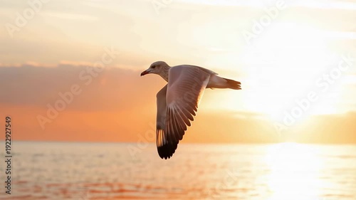 Seagull flying over ocean at sunset with golden sky