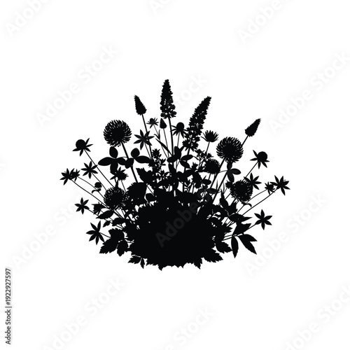 Silhouette of various wildflowers blooming in a meadow with clover and spikes of flowers