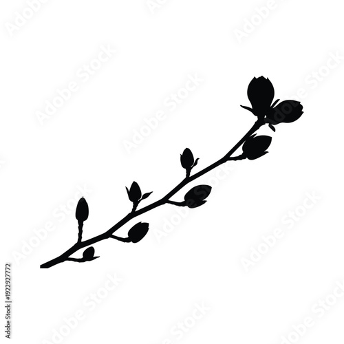 Black silhouette of a tree branch with unopened buds