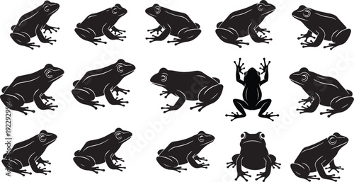 Frog silhouette vector collection, adorable amphibian wildlife illustration for environmental learning, tropical rainforest biology, cartoon animal character and children’s design eps