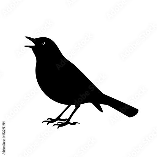 A solitary blackbird perched with its beak open in song Vector, illustration
