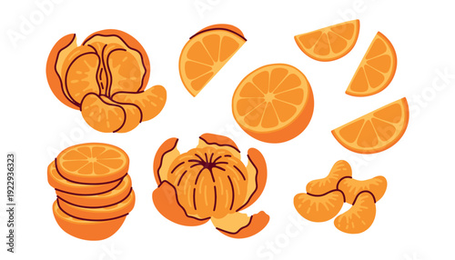 Vibrant set of juicy oranges and mandarins. Features whole citrus fruits alongside peeled segments and slices. Ideal for juice packaging, grocery icons, and healthy diet illustrations.