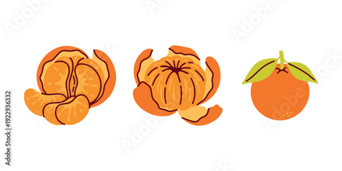 Set of three items in a row featuring two peeled mandarins and one whole fruit. Simple and clean illustration for snack packaging, health blogs, or kitchen decor.
