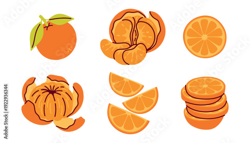 Set of six different citrus elements: whole, peeled, and sliced oranges or mandarins. Versatile pack for creating food patterns, restaurant menus, or grocery store advertisements.