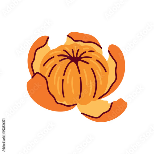 Juicy mandarin partially peeled with its skin nearby. Fresh citrus fruit showing sweet segments for healthy food illustrations, vitamin concepts, and organic snack packaging.