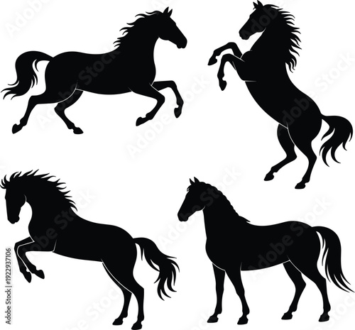 Four Black Horse Silhouettes In Various Poses On White Background animal