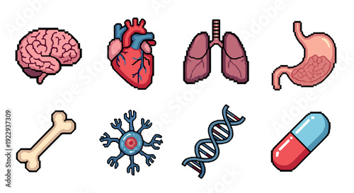 Pixel art medical icons: brain, heart, lungs, and more