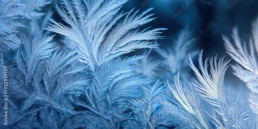 Obraz premium Close-up of frost patterns on glass creating intricate icy designs