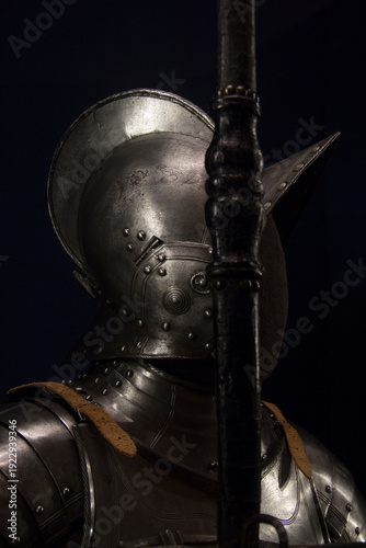 Medieval Arms and Armor of the Guards of the Duke of Brunswick