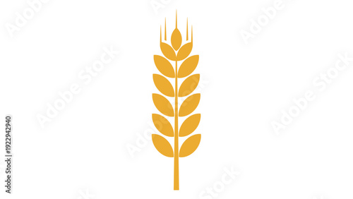Golden Wheat Ear Icon on White Background