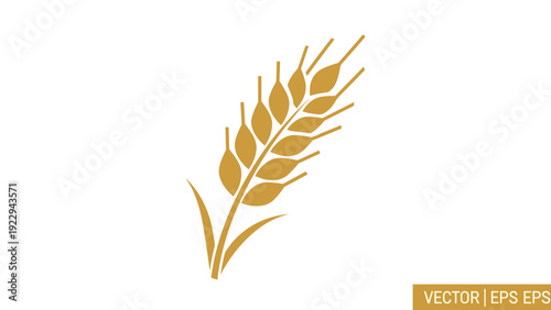 Golden Wheat Ear Icon Isolated on White Background