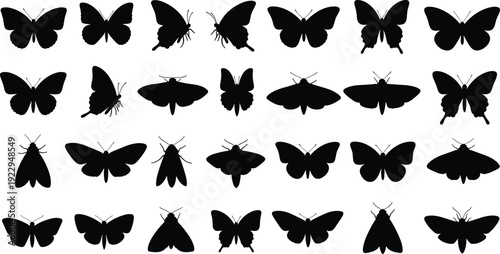Black silhouette vector collection of various butterflies and moths in different wing positions and sizes isolated on a white background for graphic design.