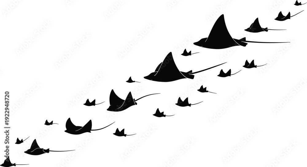 Fototapeta premium Black silhouette vector illustration of a school of stingrays swimming together in a diagonal formation isolated on a clean white background background.