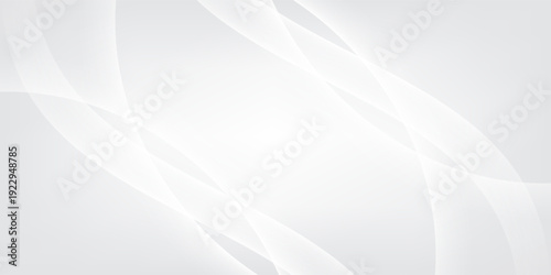 Curtain white wave soft shadow and blurred. frabic shapes curve designs. abstract backround on isolated. Vector Modern