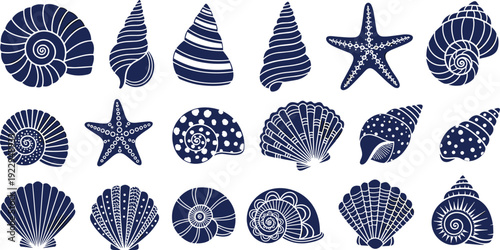 Large collection of seashell and starfish vector illustrations featuring various marine snail shells, scallops, and nautical ocean elements isolated on a white background.