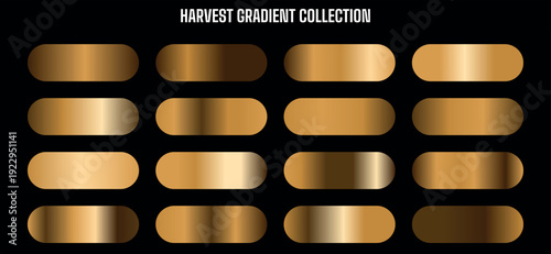 Golden gradient metallic buttons or badges collection, for website, app, UI, or branding, Isolated on transparent background, png