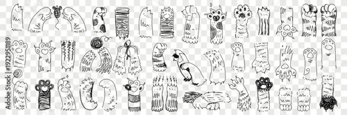 Animal Paw and Claw Illustration Overlay Collection Featuring Hand-Drawn Designs with Fur, Pads, Toes, and Whimsical Cartoon Elements on Transparent Background for Pet Graphics, Character Design, and 