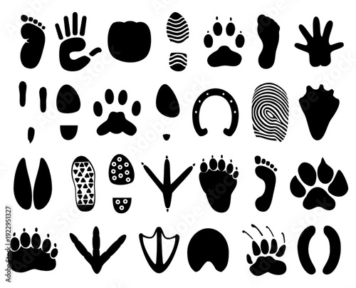 Footprint and Handprint Silhouette Overlay Collection Featuring Human Feet, Hands, Animal Paw Prints, Bird Tracks, Hoof Marks, and Shoe Tread Designs on Transparent Background for Forensic Graphics, W