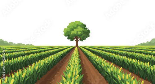 A vast agricultural field with rows of golden yellow crops stretching far, centered by a prominent single tree under a clear sky.