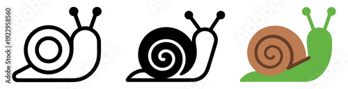 snail shell crawl icon vector