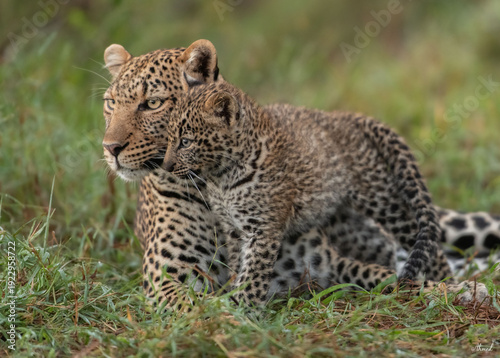 Photography The magic of Masai Mara