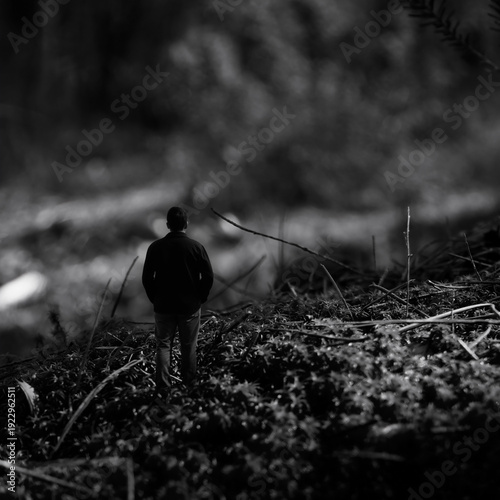 Wallpaper Mural tiny man walking among lichens moss and small twigs in miniature world Torontodigital.ca