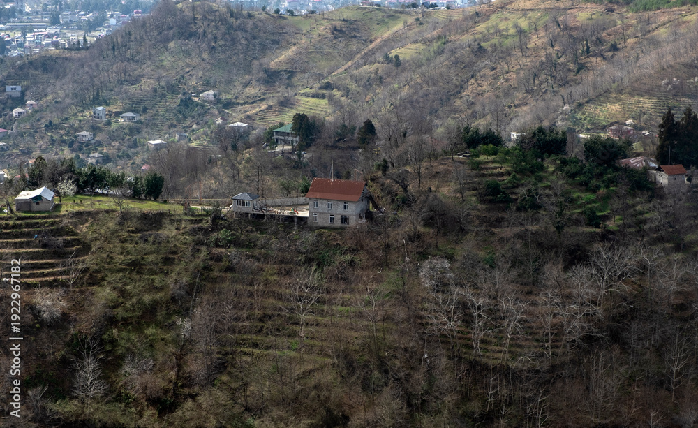 Fototapeta premium Rural hillside village with terraced fields and river valley view around Batumi, Gerogia