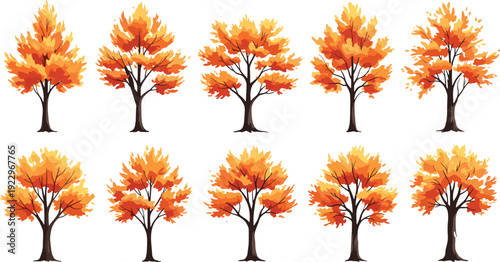 Set of autumn trees with orange yellow foliage, seasonal forest nature elements, decorative minimal flat vector illustration collection