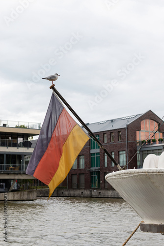 LEER, GERMANY - SEPTEMBER 11, 2025: A seagull perched on a flagpole with the German national flag on the stern of a boat in the harbor, with city buildings and water in the background.