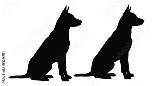 Two dogs in silhouette one sitting and one standing facing each other