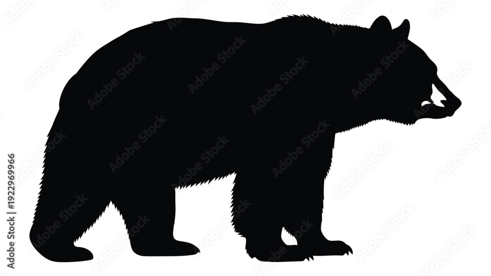 Fototapeta premium A stark silhouette of a bear is prominently displayed against a white background