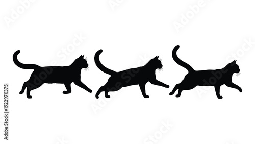 Silhouette of three cats in a walking or running sequence against a white background