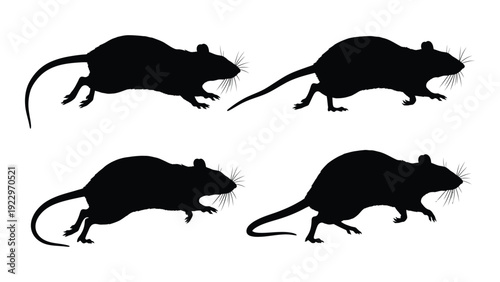 Silhouettes of four rats in motion depicted in a stark black and white style