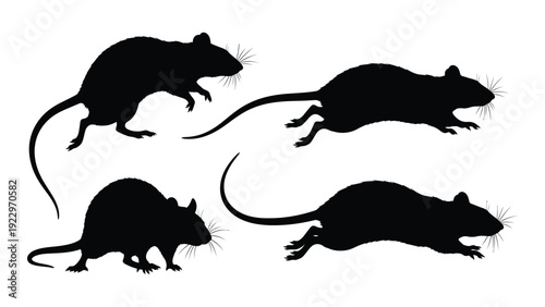 Silhouettes of rats in various poses depicting movement and activity