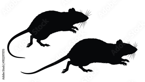 Two black silhouettes of rats are depicted in a dynamic running pose