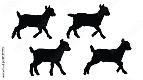 Silhouettes of four goats against a white background presented in varying positions
