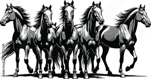 Horse illustration set, equine silhouette artwork, animal vector design, detailed musculature drawing, dynamic motion graphic, black white horse symbol