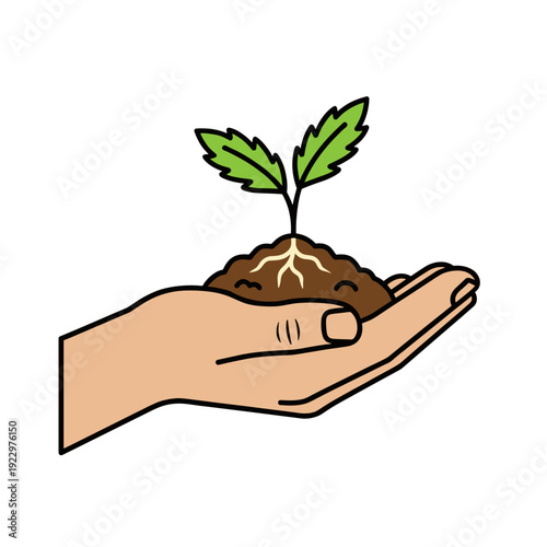 Close up of marigold seedling with roots in human hand isolated on white background. Concept of growth and environmental care